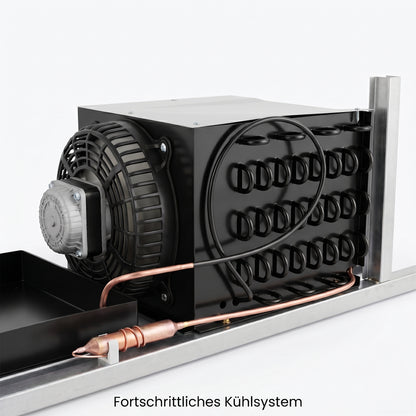 FREEZE. B-Ware Getränkekühlschrank NineThirty M mit Glastüren, 800 L Kapazität, Energieeffizienz C, abschließbar, mit Rollen