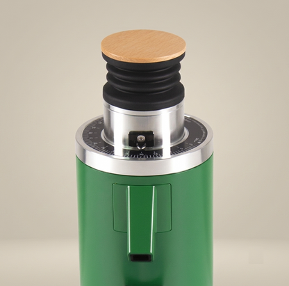 ROASTLY DF54 Kaffeemühle Gen 3 III V3/V4, Elektrische Einzeldosis-Kaffeemühle, Nahezu Retentionsfrei (Grün)