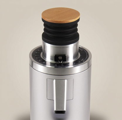 ROASTLY DF54 Kaffeemühle Gen 3 III V3/V4, Elektrische Einzeldosis-Kaffeemühle, Nahezu Retentionsfrei (Silber)